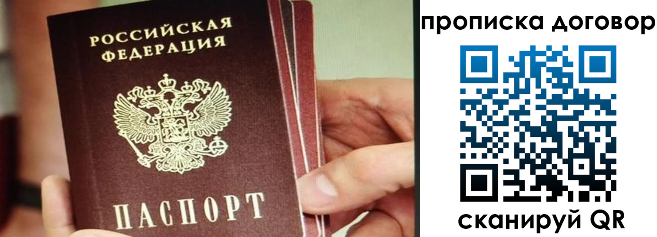 прописка в Зеленоградске